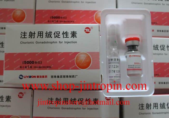HCG - Livzon HCG 5000iu 10vials and 10 vials water 1 kits Online Shop - Image 3