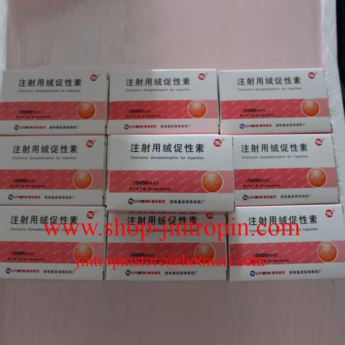 HCG - Livzon HCG 5000iu 10vials and 10 vials water 1 kits Online Shop